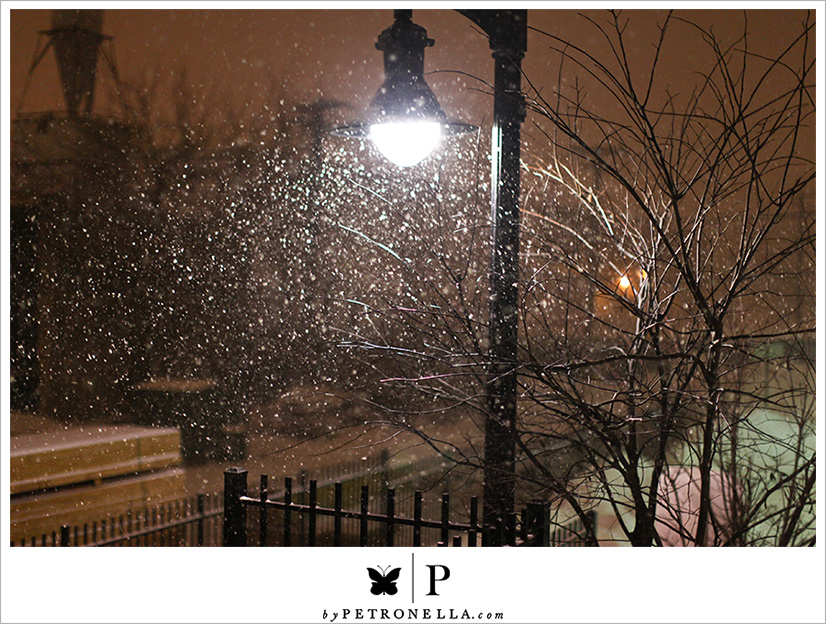2011 Snowstorm