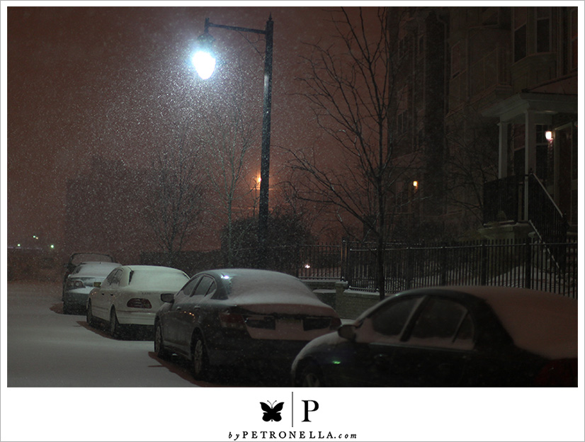 Nighttime Snow