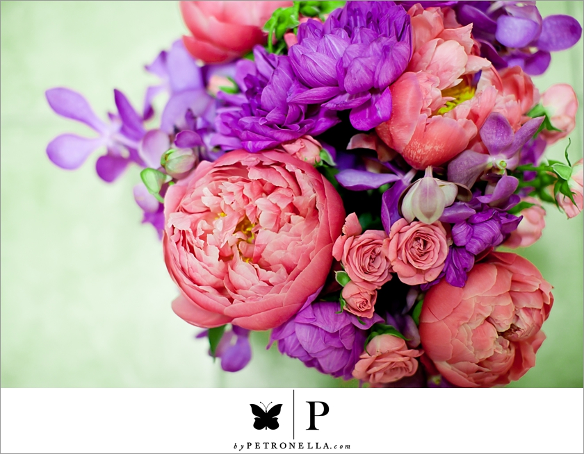 Pink Peony (2)