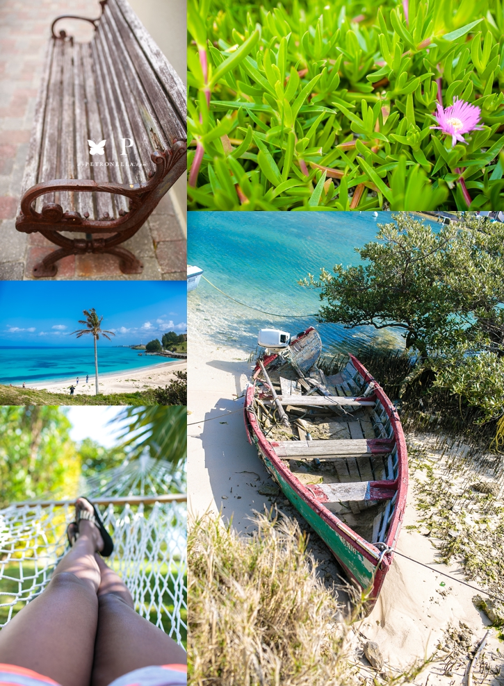 Bermuda Vacation Petronella Photography (3)
