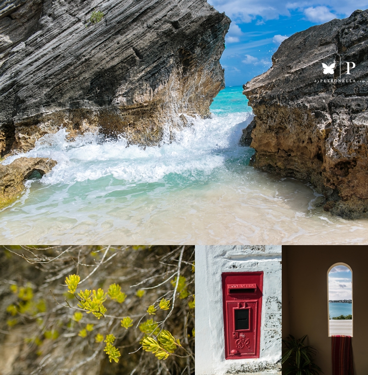 Bermuda Vacation Petronella Photography (9)