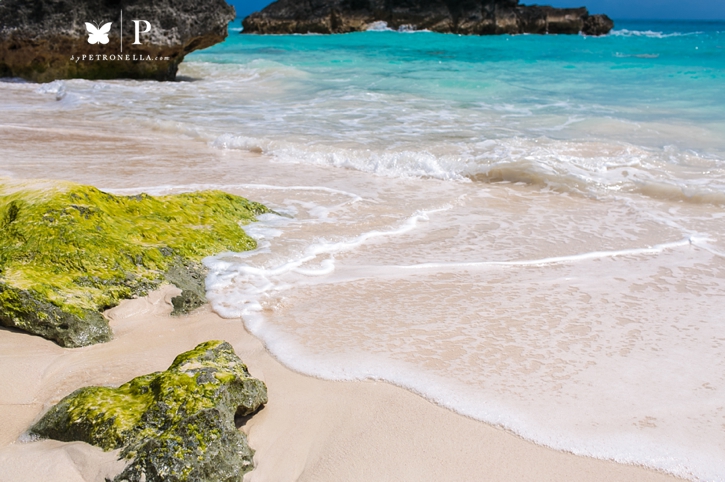 Bermuda Vacation Petronella Photography (4)