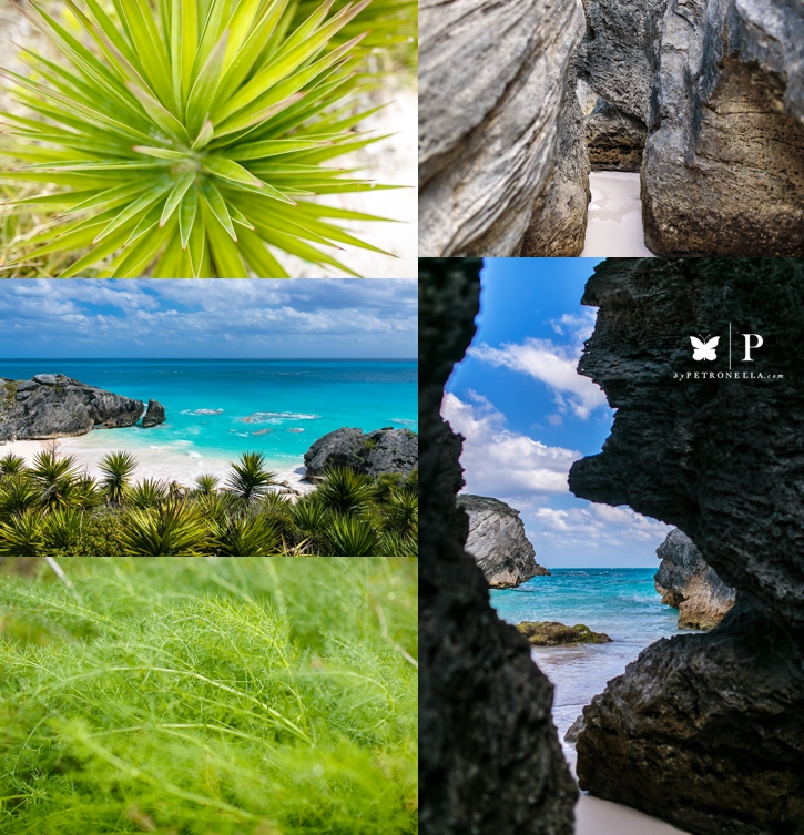 Bermuda Vacation Petronella Photography (2)