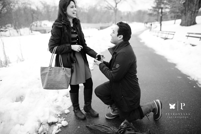 New York Central Park surprise marriage South Asian Indian