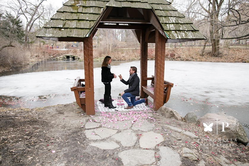 New York Central Park Surprise Marriage Proposal Heart Bandits Petronella Photography