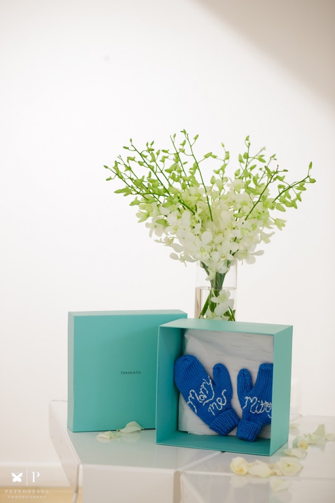 Muriel Gallery Marry Me Mittens Tiffany blue box Marriage Proposal Petronella Photography (5)