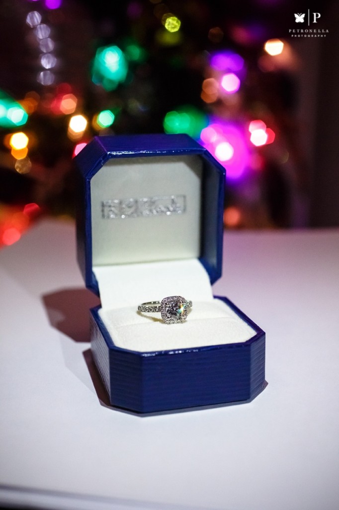 New York marriage proposal photographer Petronella Photography (3)