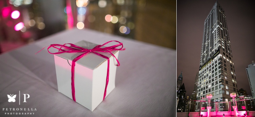 View of the World New York Matt Victoria Surprise Marriage Proposal Petronella Photography (1)
