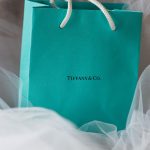 Oheka Castle black Haitian wedding photographer