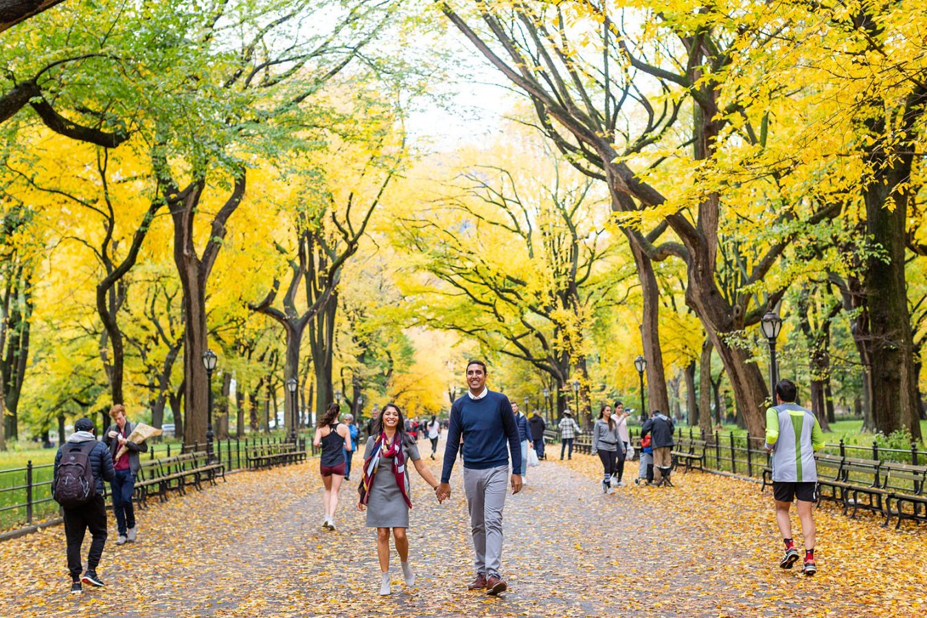 Central Park Indian engagement session Petronella Photography